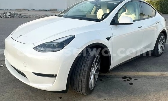 Acheter Occasion Voiture Tesla Model X Blanc à bel Air, Grand Victoria Acheter Occasion Voiture Tesla Model X Blanc à bel Air, Grand Victoria