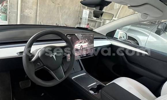 Acheter Occasion Voiture Tesla Model X Blanc à bel Air, Grand Victoria Acheter Occasion Voiture Tesla Model X Blanc à bel Air, Grand Victoria