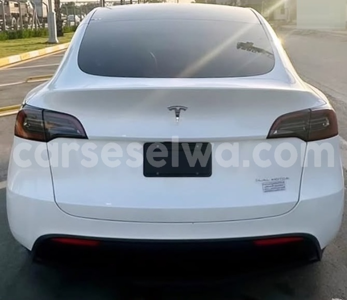 Big with watermark tesla model x greater victoria bel air 8415