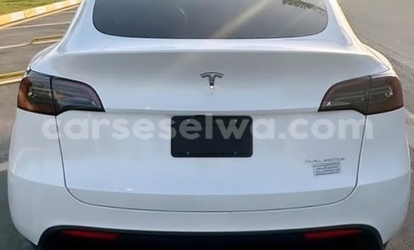 Acheter Occasion Voiture Tesla Model X Blanc à bel Air, Grand Victoria Acheter Occasion Voiture Tesla Model X Blanc à bel Air, Grand Victoria