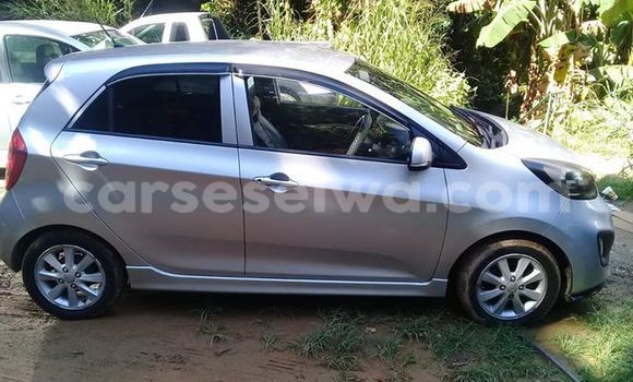 Acheter Occasion Voiture Kia Picanto Gris à Beau Vallon, Nord Mahé