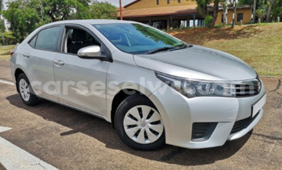 Acheter Occasion Voiture Toyota Corolla Gris à Anse Boileau, West Mahé Acheter Occasion Voiture Toyota Corolla Gris à Anse Boileau, West Mahé