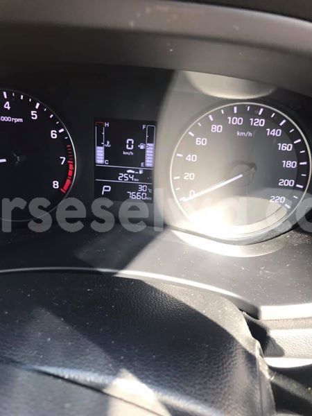 Big with watermark 52276830 10158300318494552 119797680246358016 n