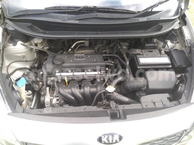 Big with watermark 53419599 1005008913028097 3807279755313545216 n